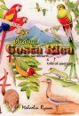 Birding Costa Rica, Part 1 (All Regions)