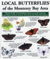 Quick Guide to Local Butterflies of the Monterey Bay Area