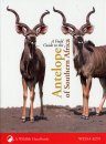 A Field Guide to the Antelope of Southern Africa