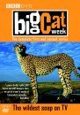 Big Cat Week DVD: The Complete First and Second Series (Region 2 & 4)