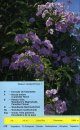 Madeira: Plants and Flowers [Multilingual]