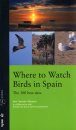 Where to Watch Birds in Spain