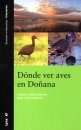 Dónde ver Aves en Doñana [Where to Watch Birds in Doñana]