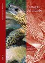 Tortugas del Mundo [Turtles of the World]