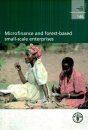 Microfinance and Forest-Based Small-Scale Enterprises