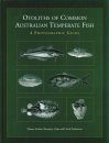Otoliths of Common Australian Temperate Fish