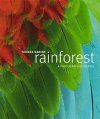 Rainforest: A Photographic Journey