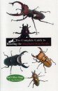 The Complete Guide to Rearing the Elephant Stag Beetle