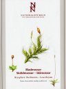 The Encyclopedia of the Swedish Flora and Fauna, Bladmossor, Sköldmossor - Blåmossor [Swedish]