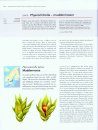 The Encyclopedia of the Swedish Flora and Fauna, Bladmossor, Sköldmossor - Blåmossor [Swedish]