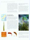 The Encyclopedia of the Swedish Flora and Fauna, Bladmossor, Sköldmossor - Blåmossor [Swedish]