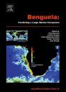 Benguela: Predicting a Large Marine Ecosystem