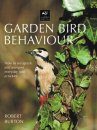 Garden Bird Behaviour