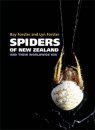 Spiders of New Zealand