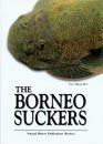 The Borneo Suckers