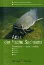Atlas der Fische Sachsens: Rundmäuler, Fische, Krebse