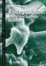 Biodegradation: Natural and Synthetic Materials