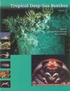 Tropical Deep-Sea Benthos, Volume 24