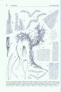 Flora Briofítica Ibérica, Volumen 5