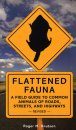 Flattened Fauna