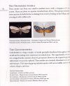 Collections of the RMCA: Butterflies and Moths