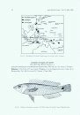 Second Revision of the Labrid Fish Genus Leptojulis, with Descriptions of Two New Species