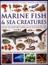 The Illustrated World Encyclopedia of Marine Fish & Sea Creatures