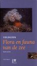 Veldgids Flora en Fauna van de Zee [Field Guide to Flora and Fauna of the North Sea]