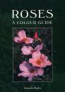 Roses: A Colour Guide