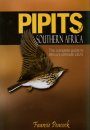Pipits of Southern Africa