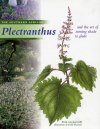 The Southern African Plectranthus