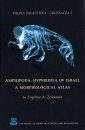 Fauna Palaestina: Crustacea 1 - Amphipoda: Hyperiidea of Israel