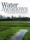 Water Meadows