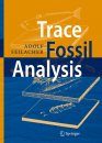 Trace Fossil Analysis