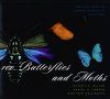 100 Butterflies and Moths