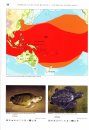 Turtles of the World, Volume 5: Australia and Oceania / Schildkröten der Welt, Band 5: Australien und Ozeanien