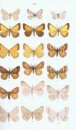Moths of Europe, Volume 2
