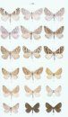 Moths of Europe, Volume 2