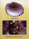 Handbook on Mangrove Associate Molluscs of Sundarbans