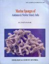 Marine Sponges of Andaman & Nicobar Islands, India