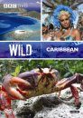 Wild Caribbean - DVD (Region 2 & 4)
