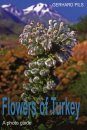 Flowers of Turkey