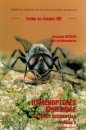 Faune de France, Volume 86: Hyménoptères Sphecidae d'Europe Occidentale Volume 3