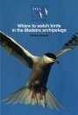 Where to Watch Birds in the Madeira Archipelago