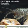 British Marine Amphipoda: Gammaridea