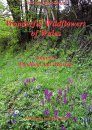 Wonderful Wildflowers of Wales (4-Volume Set)