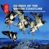 Sounds of the British Coastline