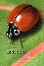 Ladybugs of Alberta