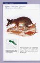 The Mammals of Costa Rica