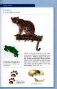 The Mammals of Costa Rica
